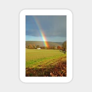 Rainbow tree Magnet