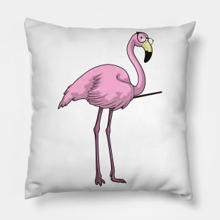 Flamingo Teacher Pointer Pillow