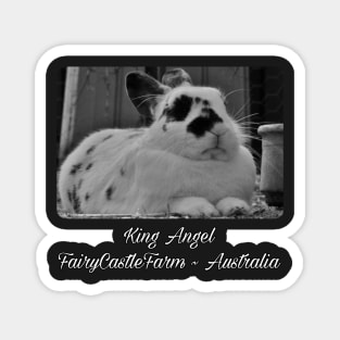 King Angel, English Spot rabbit & ruler of FairyCastleFarm Magnet