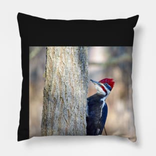 "Pileated Woodpecker" Pillow