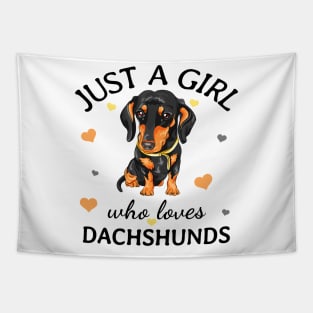 Just a Girl Who Loves dachshunds Gift Tapestry