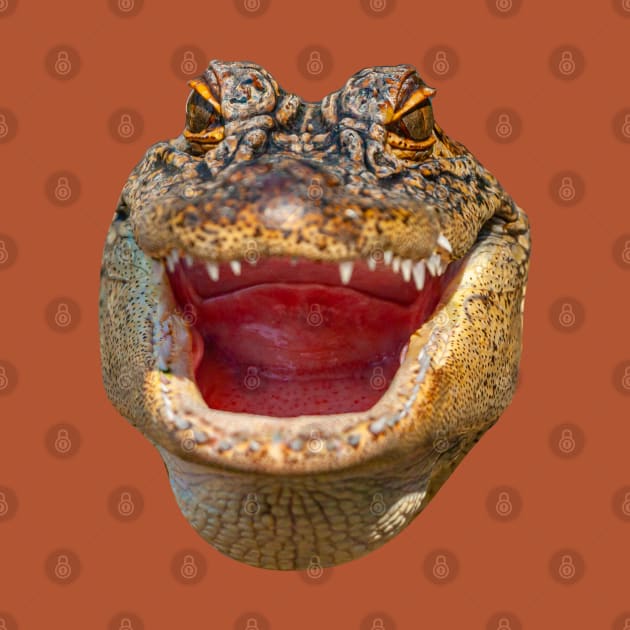 Gator face by dalyndigaital2@gmail.com