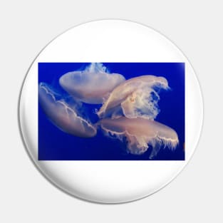 Dance of the Jellyfish Pin