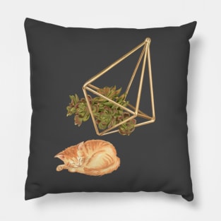 Geometric Succulent Planter and Cat Pillow