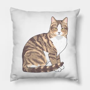 Brown and White Tabby Cat Pillow