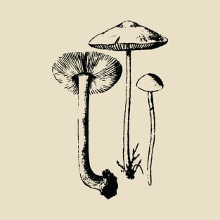 Mushrooms T-Shirt