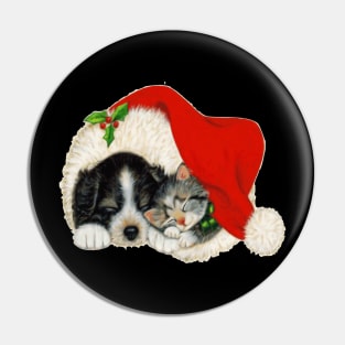 Dog n cat xmas Pin