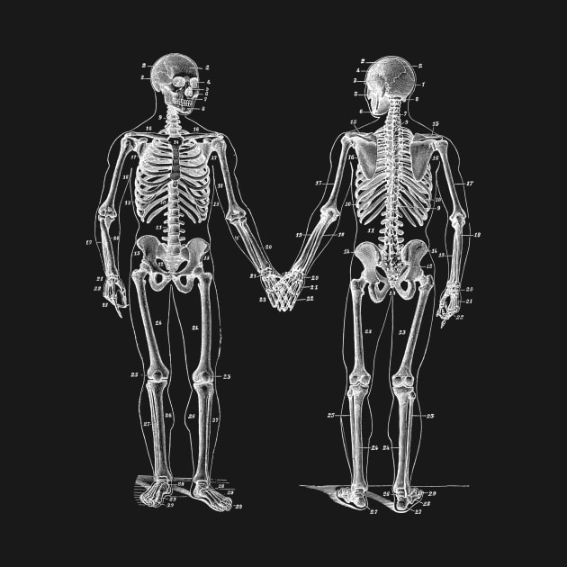 Skeletons Holding Hands by k8company