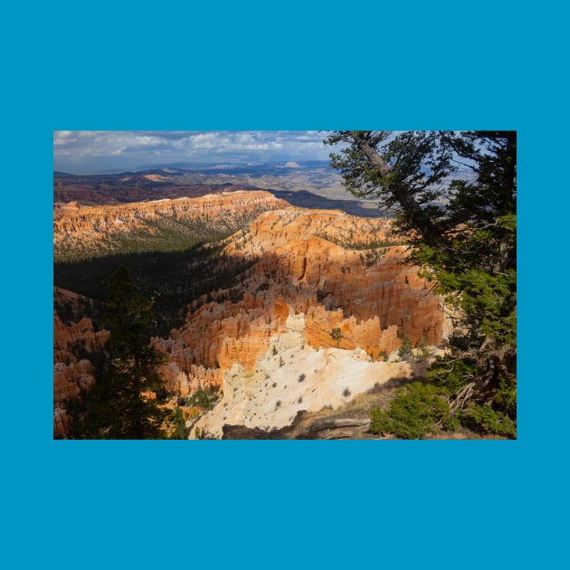 Bryce Canyon View 22 by Rob Johnson Photography