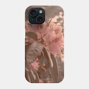 Cherry Blossom Aesthetic Photograph Design Phone Case