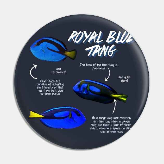 Royal Blue Tang Pin by Animal Facts and Trivias