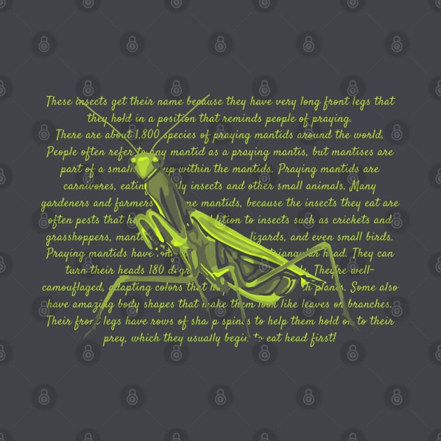 Praying Mantis Info by Slightly Unhinged