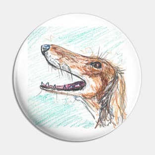 Saluki oil pastel drawing sketch Pin