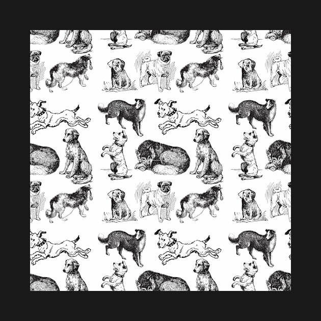 Black And White Dogs Patterns by casualism