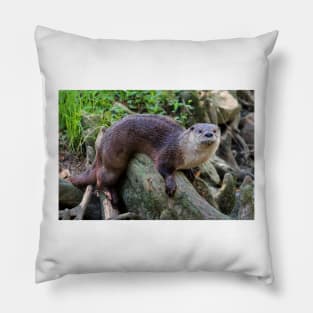 River Otter On A Log Pillow