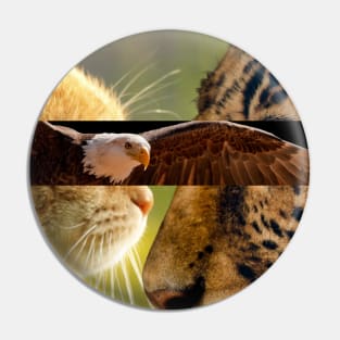 Cat, eagle, cheetah Pin