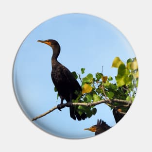 Two Double-crested Cormorants In a Tree Pin