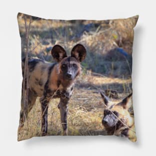 Two African wild dogs in Moremi Game Reserve, Botswana Pillow