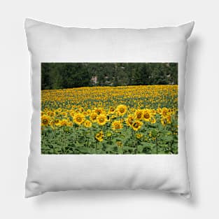 France_DSC_0137 Pillow