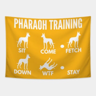 Pharaoh Training Pharaoh Dog Tricks Tapestry