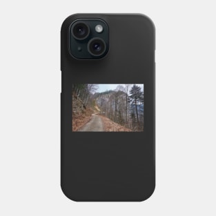 Road to the mountains Phone Case