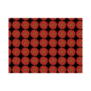 Red Daisies Pattern with Black Background T-Shirt