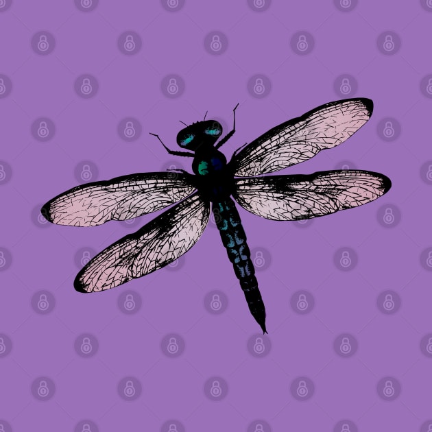 Blue dragonfly vector by Bwiselizzy