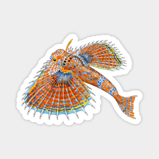 Flying Gurnard Magnet by Tim Jeffs Art