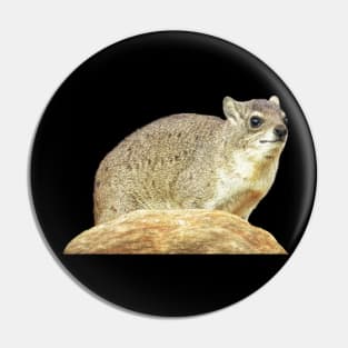 Rock Hyrax - Dassie - Cape Hyrax - Rock Rabbit Pin