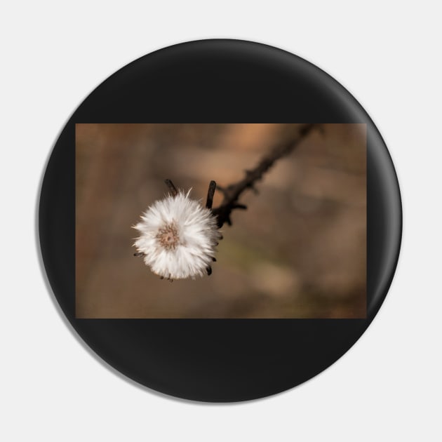 Dainty powder puff Pin by DeborahMcGrath