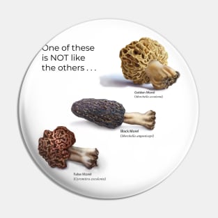 2 True Morels, 1 False Morel Pin