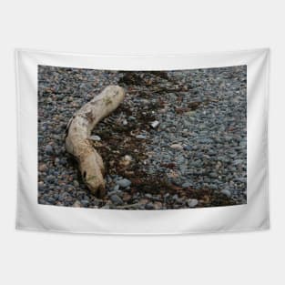 Pebble Beach with driftwood Tapestry