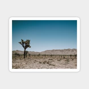 Joshua Tree Landscape Photo V2 Magnet