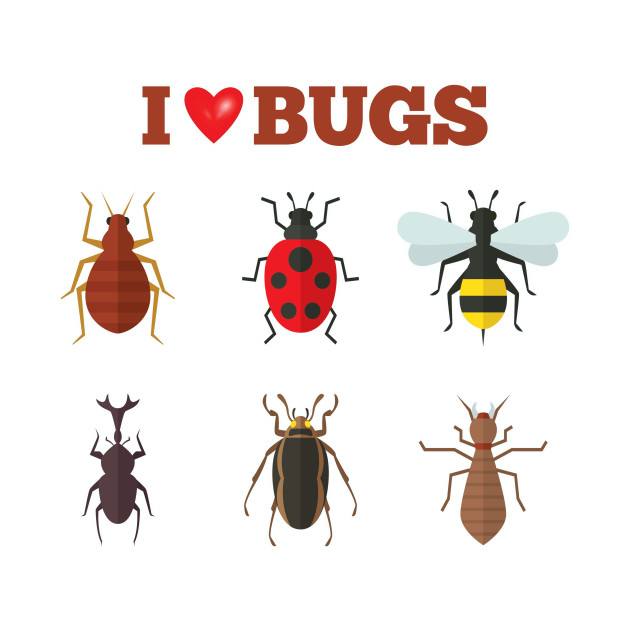 Bugs Chart