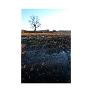 A farmer's Field in Winter - Yorkshire, UK T-Shirt