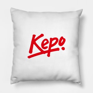 KEPO - Knowing Every Particular Object Pillow