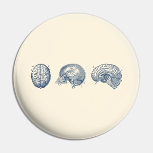 Brain Diagram - Three Views - Vintage Anatomy Pin