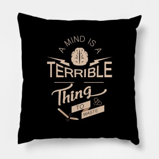 'A Mind Is A Terrible Thing To Waste' Education Shirt Pillow