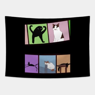 Funny Cat Meme Blur Tapestry for Sale by volkaneeka