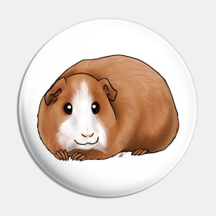 Small Mammals - American Guinea Pig - Broken Coat Pin