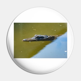 Gatorland alligator Pin