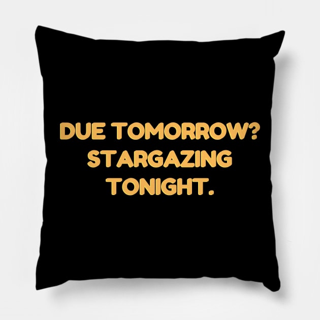 Due tomorrow? Stargazing Tonight. Pillow by 46 DifferentDesign