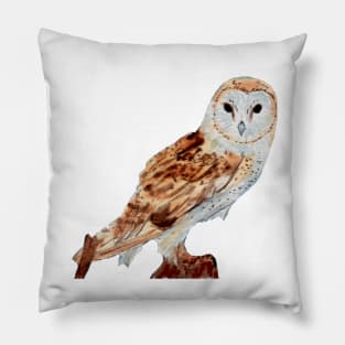 Barn owl Pillow