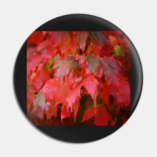 Red Autumn Pin