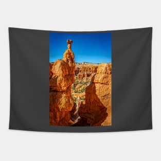 Bryce Canyon National Park Tapestry