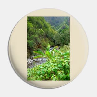 Iao Valley State Monument Study 10 Pin