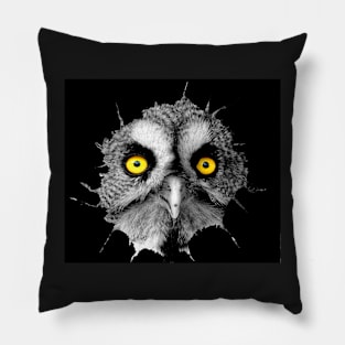 Owl in hole tear out of chest Pillow