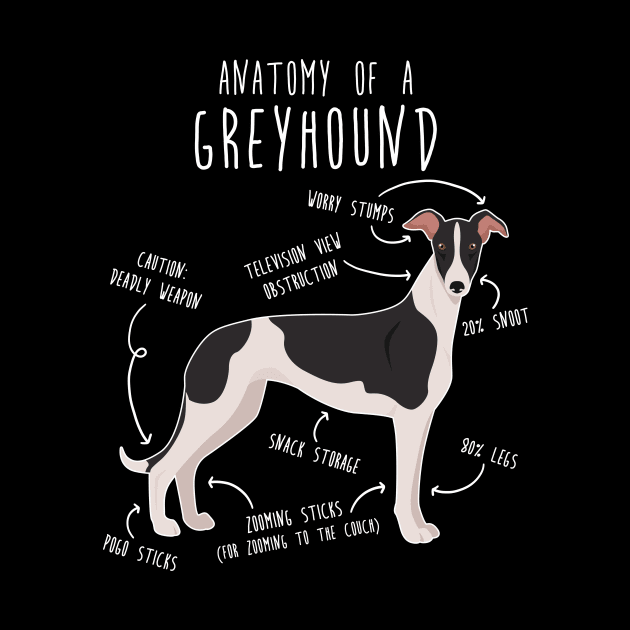 Greyhound Dog Anatomy by Psitta