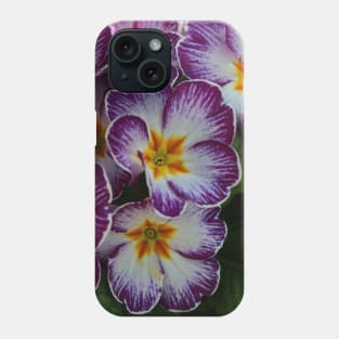 Primula  yellow violett Phone Case