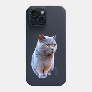 British Shorthair Cat Blue with Orange eyes Phone Case